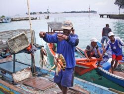 Sektor Perikanan Kepulauan Seribu Dinilai Belum Berkembang Signifikan