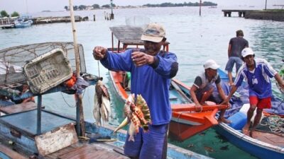Sektor Perikanan Kepulauan Seribu Dinilai Belum Berkembang Signifikan