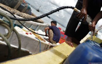 Nelayan Semaput Akibat Harga Solar Tembus Rp12 Ribu per Liter, KPKP Kepulauan Seribu Asik Tanam Kangkung