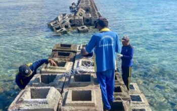 Pembangunan Tanggul Rp82,4 Miliar Dimulai, Warga Diimbau Aktif Kawal Proyek SDA Kepulauan Seribu