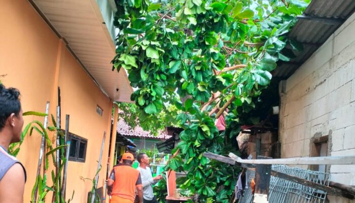 Angin Kencang dan Hujan Es Rusak Rumah Warga Sebira, Warga Tagih Janji Bantuan