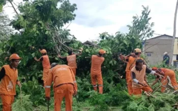 1.023 Kuota PPSU se-Jakarta, Kepulauan Seribu Hanya Kebagian 14 Orang, Simak Alasan Lurah!
