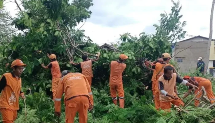 1.023 Kuota PPSU se-Jakarta, Kepulauan Seribu Hanya Kebagian 14 Orang, Simak Alasan Lurah!