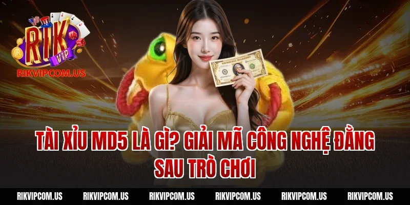 Tài Xỉu MD5 Là Gì? Giải Mã Công Nghệ Đằng Sau Trò Chơi
